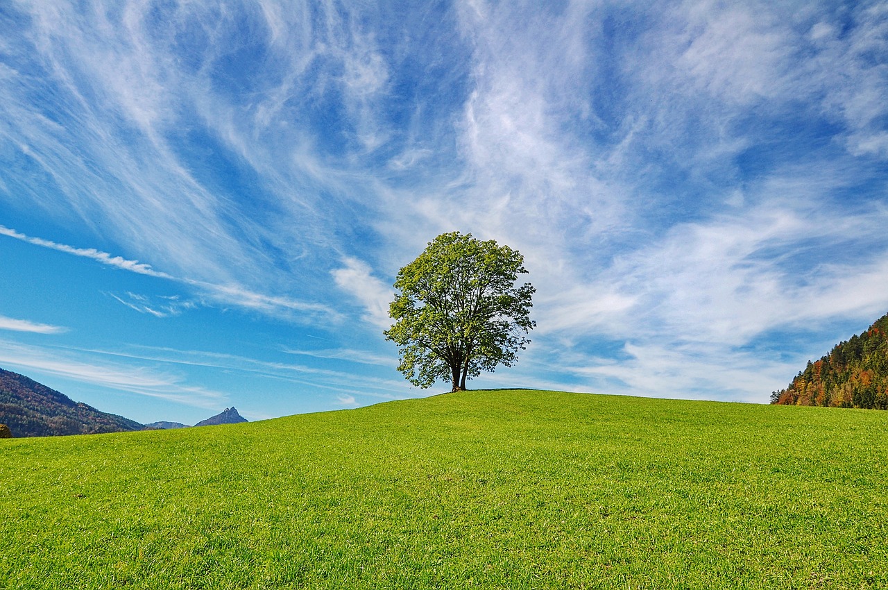 How To Use Cloud Solutions for Better Workflow Management